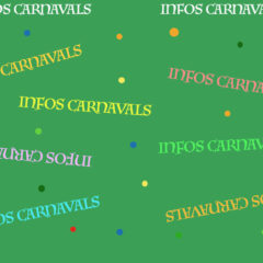 Le 105e Carnaval de Cholet en images