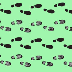 Dans les Mauges, la chaussure, c&rsquo;est géant!