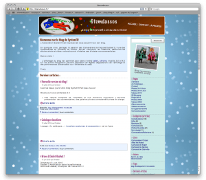 Page d'accueil System'D (Tiroly)